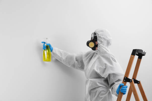 Why You Should Choose Our Mold Remediation Services in Double Springs, AL